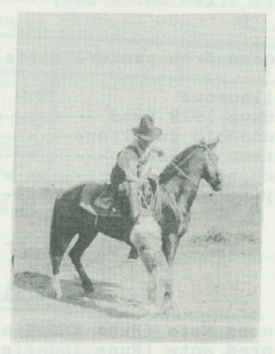 Jim atop Betsy the saddle horse, next to dog.
