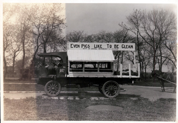 A photograph of a parade float made to emphasize the importance of hygiene when raising pigs. The float was made by the Department of Animal Pathology and Hygiene.
